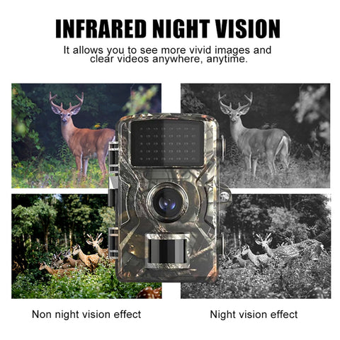 Trail Camera