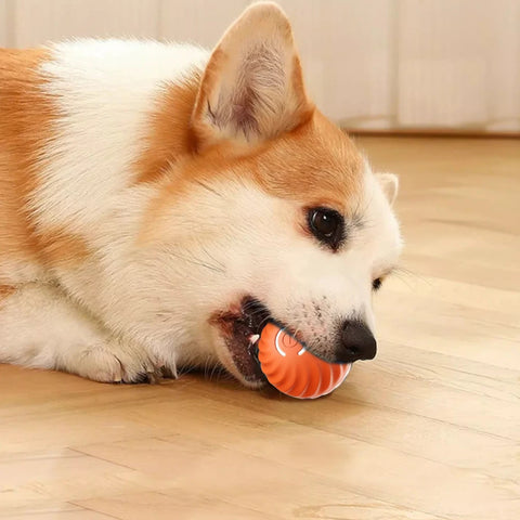 Smart Dog Ball