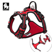 Dog Harness