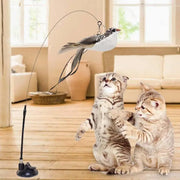 Cat Feather Toy