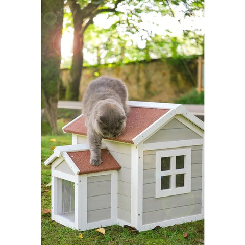 Outdoor Cat House