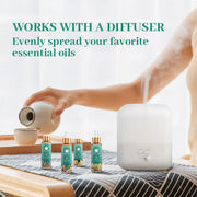 Essential Oils Set