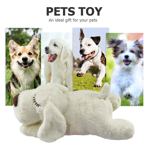 Heartbeat Pet Toy