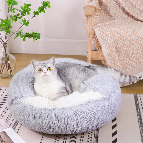 Cat Cave Bed