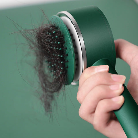 One-Key Self Cleaning Hair Brush