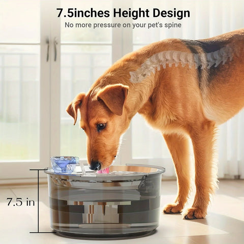 Dog Water Dispenser