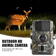 Trail Camera