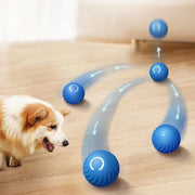 Smart Dog Ball