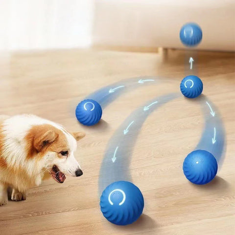 Smart Dog Ball