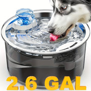 Dog Water Dispenser