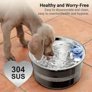 Dog Water Dispenser