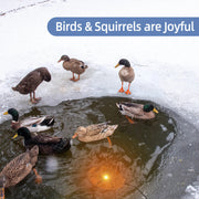 Bird Bath Heater