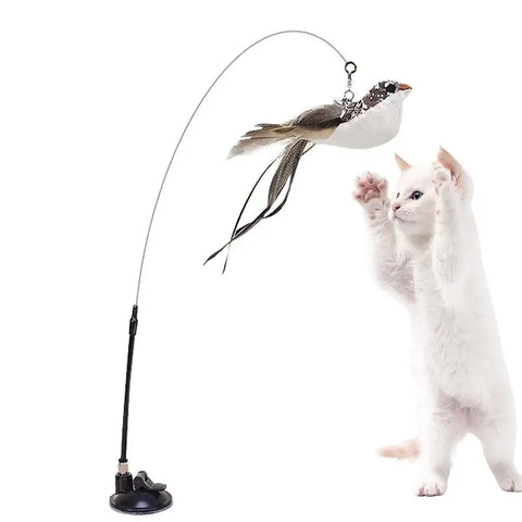 Cat Feather Toy