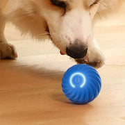 Smart Dog Ball