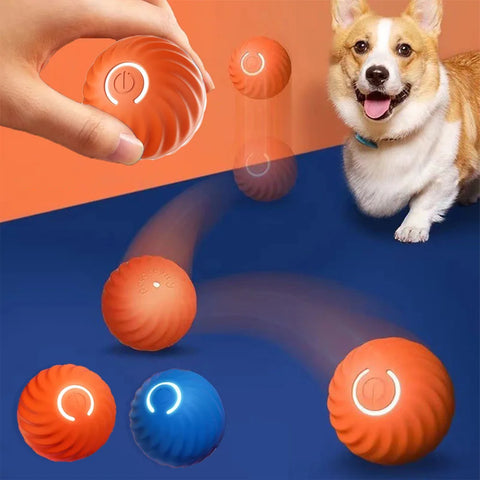 Smart Dog Ball