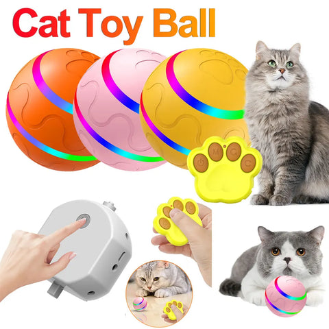 Smart Cat Ball