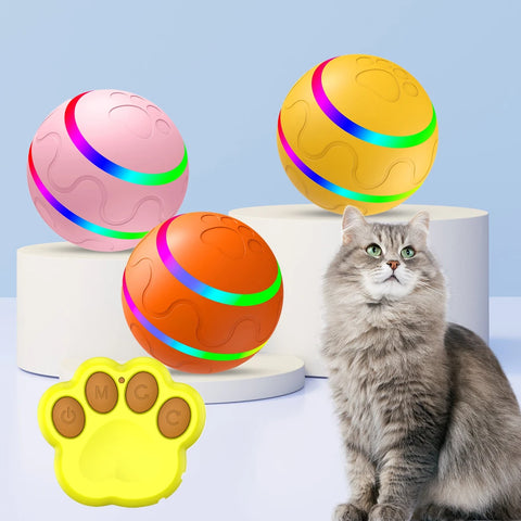 Smart Cat Ball