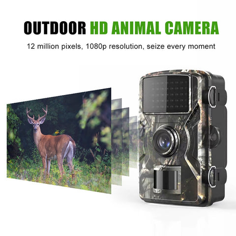 Trail Camera