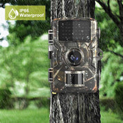 Trail Camera