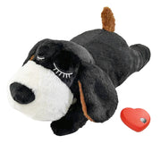 Heartbeat Pet Toy