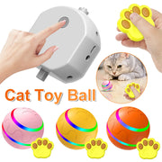 Smart Cat Ball