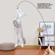 Cat Feather Toy