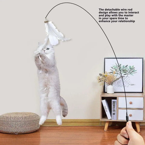 Cat Feather Toy