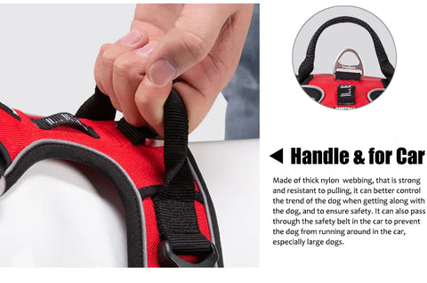 Dog Harness