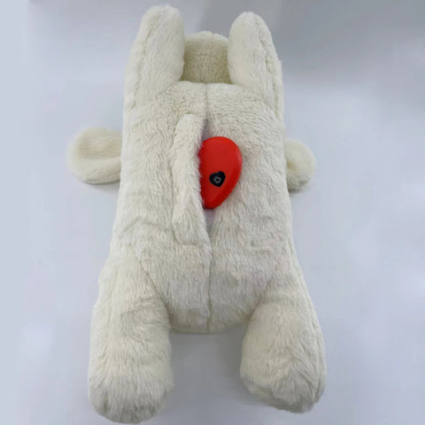 Heartbeat Pet Toy