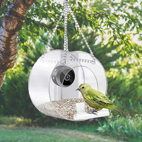 Smart Bird Feeder