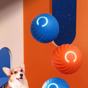 Smart Dog Ball